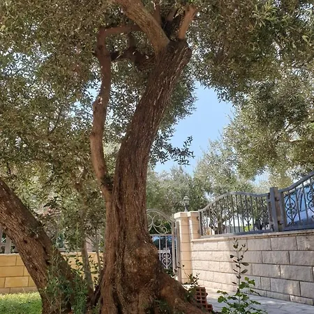 Apartment Mirta Gradac (Split-Dalmatia)