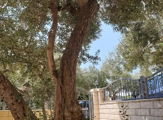 Apartman Mirta Gradac